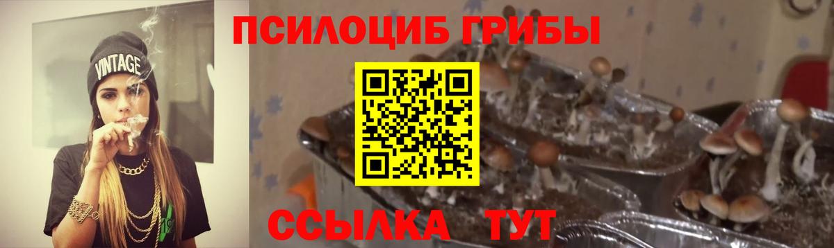 Заводоуковск  Псилоцибиновые грибы GOLDEN TEACHER  Вход с VPN 